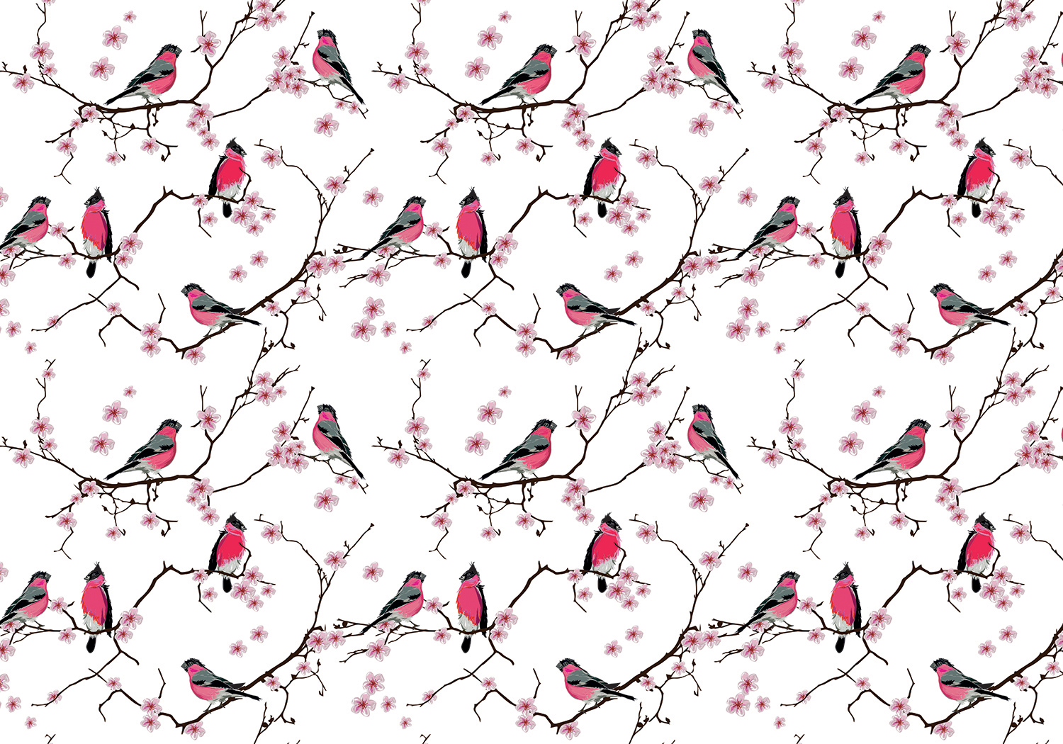 Pink Birds – Adecohome