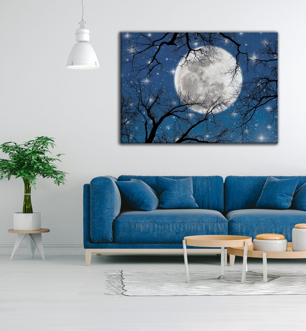 Moon light -canvas